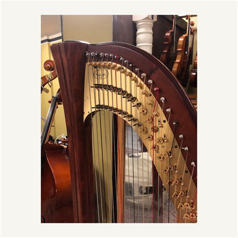 used salvi harps for sale